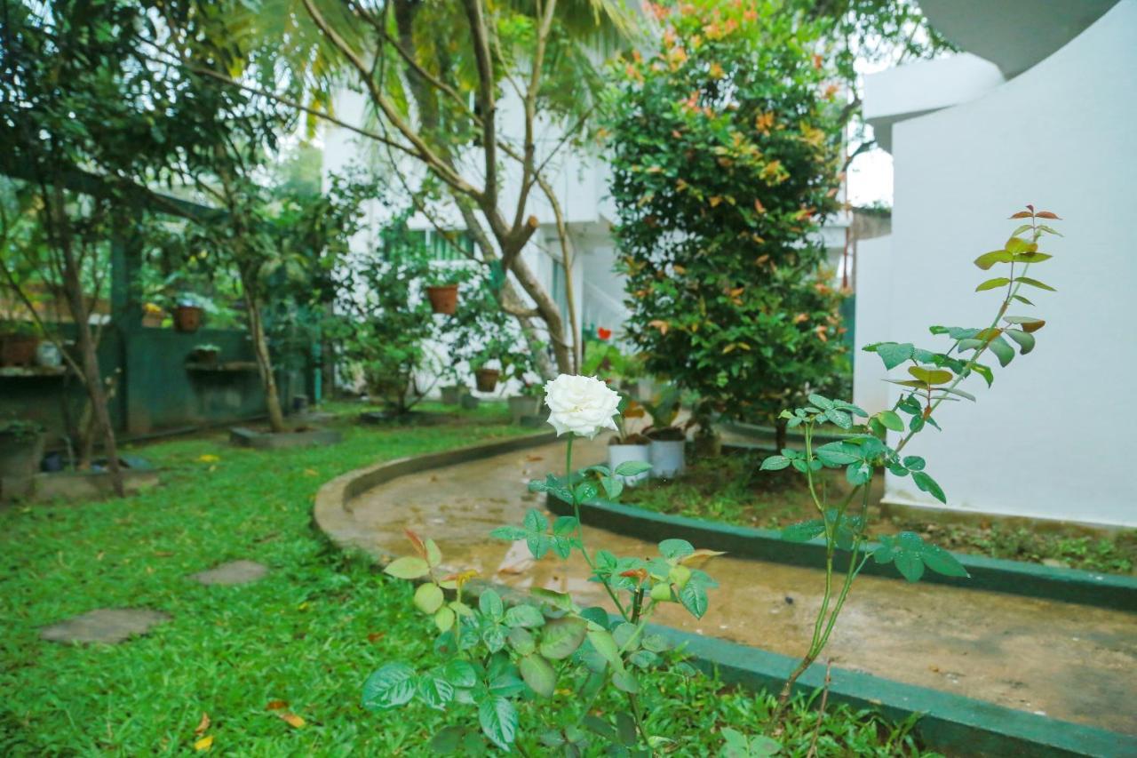 Suwa Arana Resort Mirissa Buitenkant foto